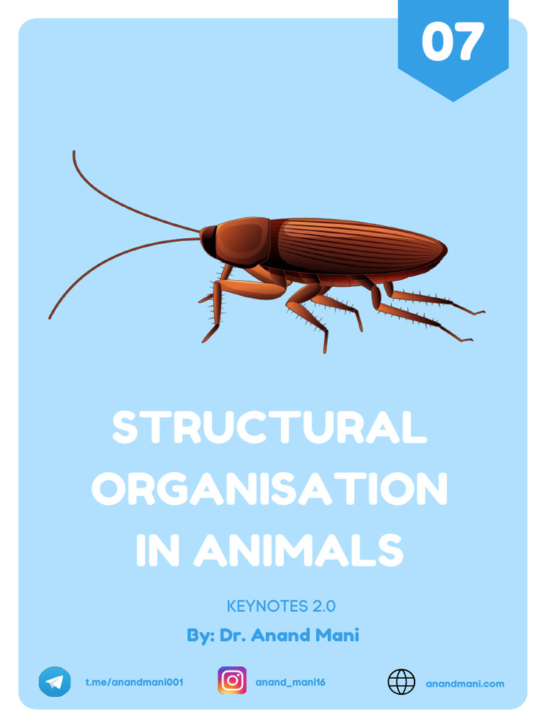 Animal Tissue Structure and Cockroach Anatomy | PDF | Epithelium ...