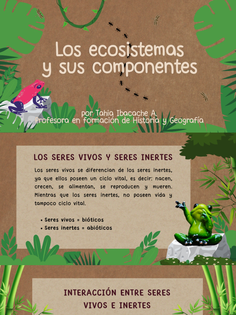Componentes y Tipos de Ecosistemas | PDF | Ecosistema | Suelo