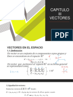 Capitulo III Vectores 14-05-24