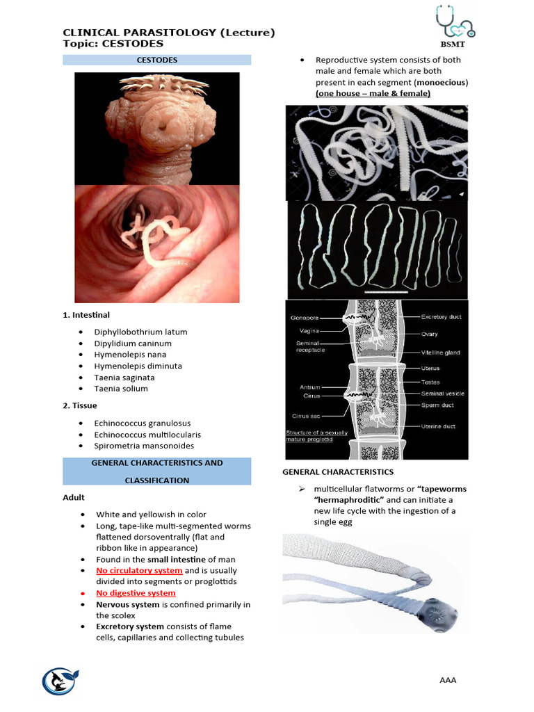 Finals Cestodes | PDF | Clinical Medicine | Parasitology