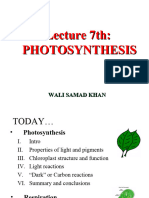 Lecture 7th: Photosynthesis