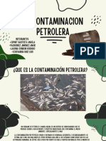 Contaminacion Petrolera