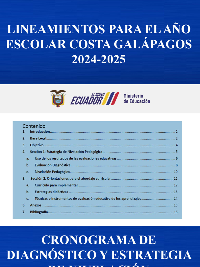Lineamientos Pedagógicos 2024-2025 Costa | PDF | Plan de estudios ...