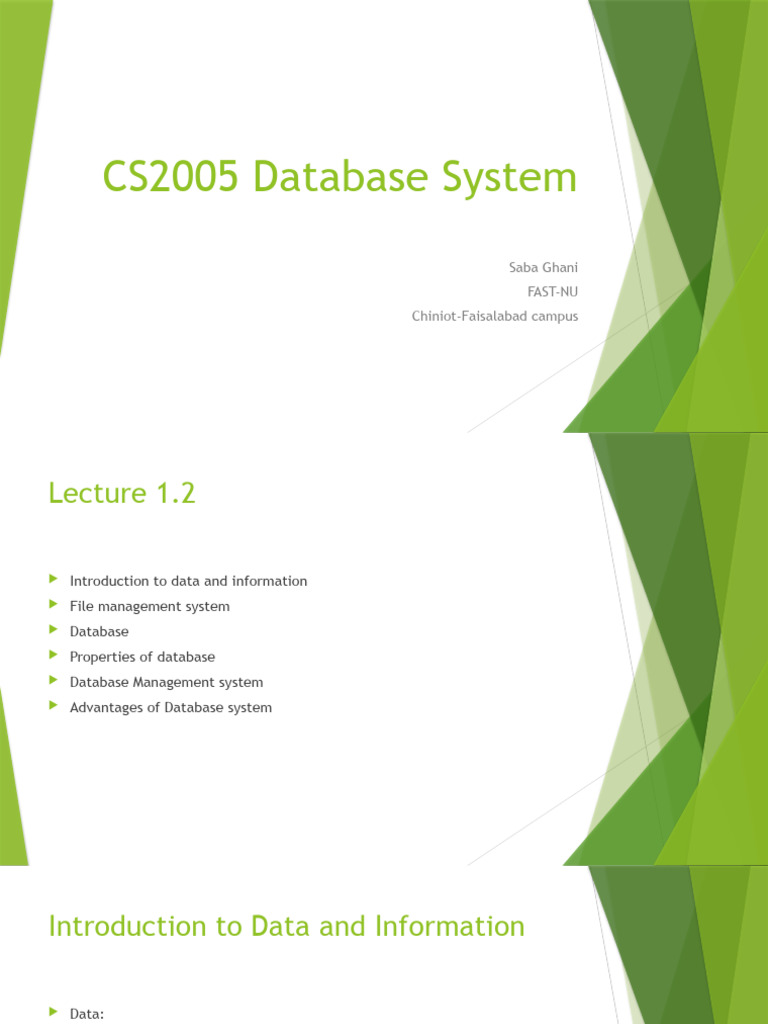 Lecture 1 2 Pdf Databases Metadata