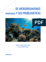 Informe Micro Organismos