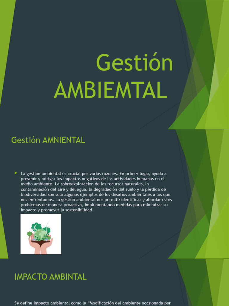 Medidas de Mitigación Ambiental | PDF | Entorno natural | Energía renovable
