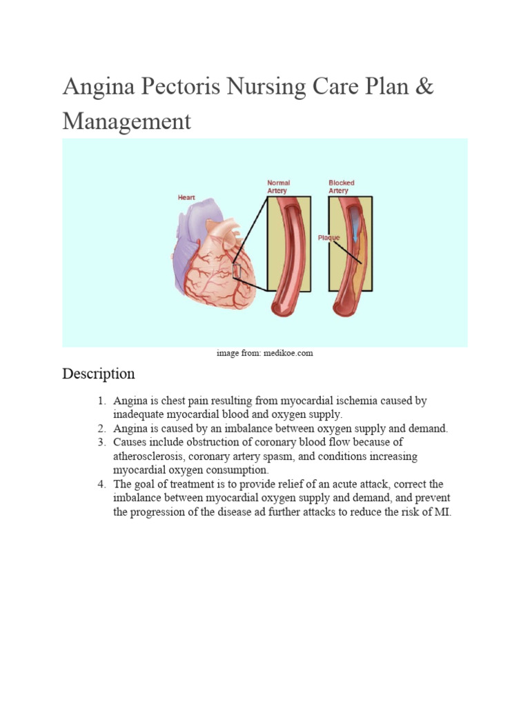 Angina Pectoris Nursing Management Guide | PDF | Coronary Artery ...
