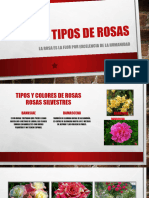 Tipos de rosas Computación