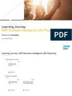 SAP Business Intelligence (BI) Reporting - Feb 2021