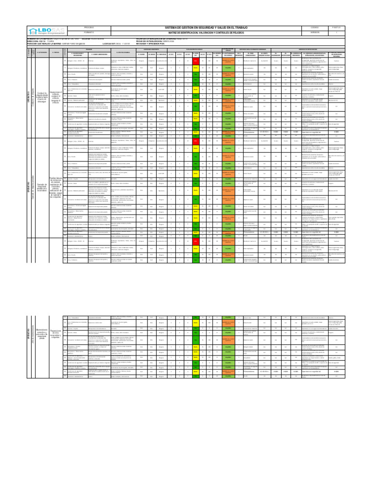 Matriz de Riesgos en Salud Laboral 2024 | PDF | Enfermedades y ...