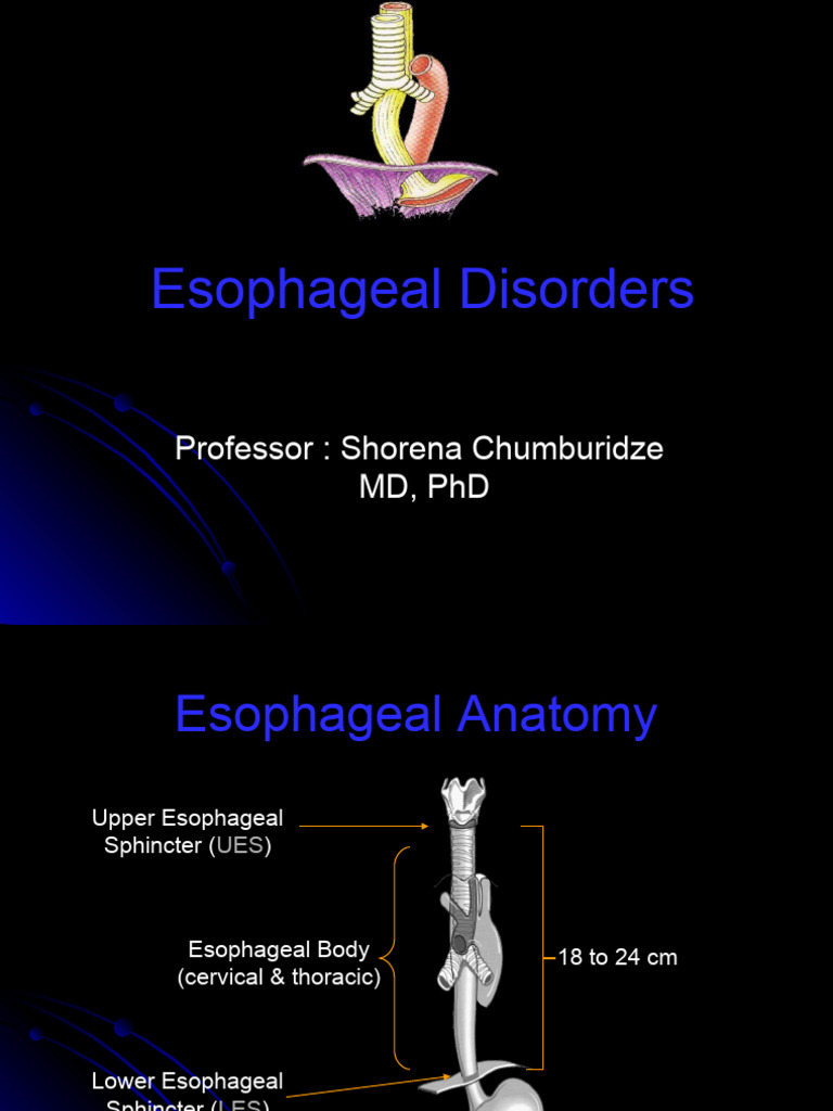 Overview of Esophageal Disorders | PDF | Esophagus | Gastroesophageal ...