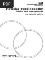 Tendinopathy Insights from Dr. Jill Cook | PDF | Physical Therapy ...