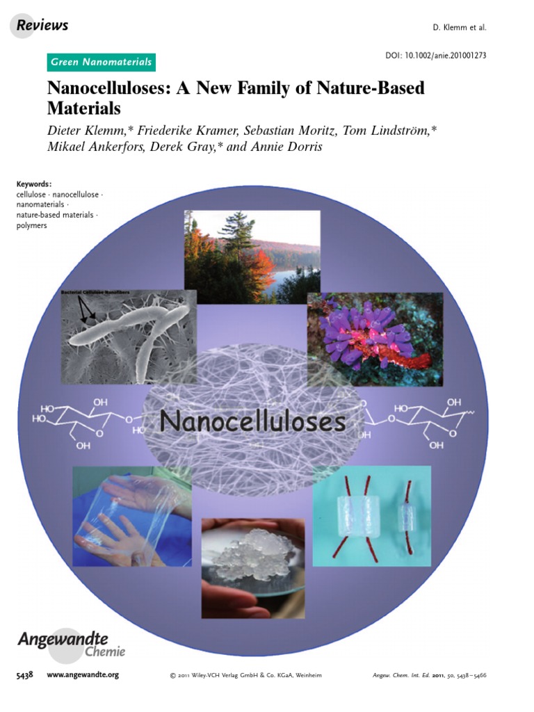 Nanocelluloses: Sustainable Innovations | PDF | Cellulose | Nanocomposite
