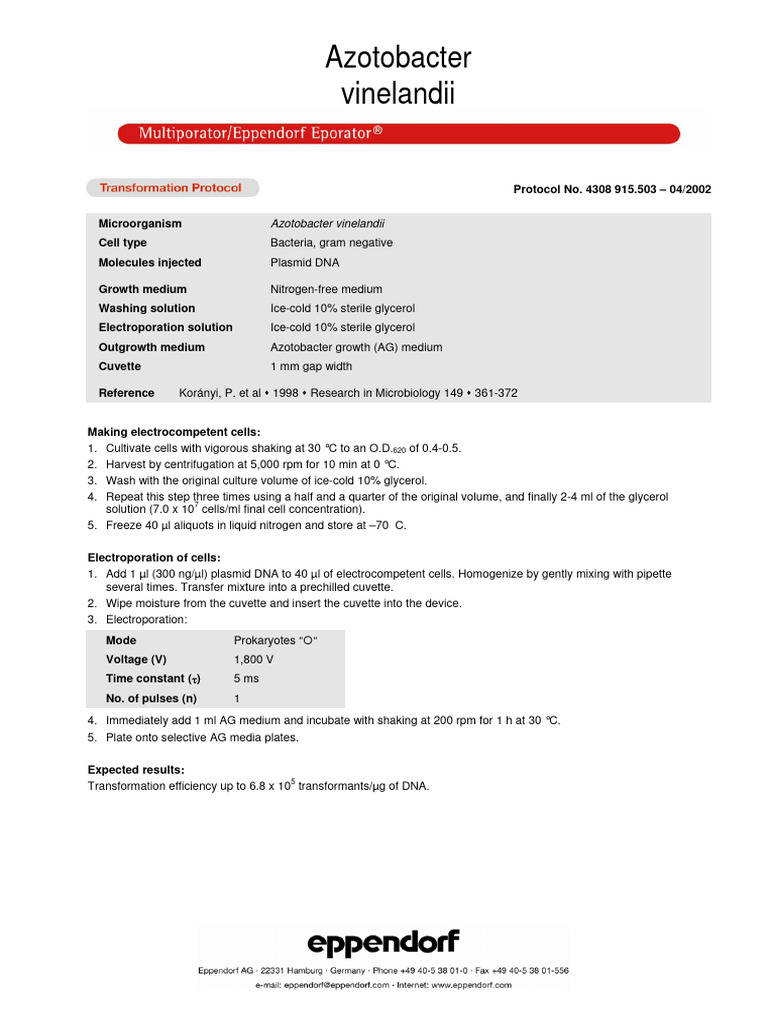 Electroporation Protocol for Azotobacter | PDF