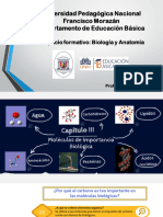 Capítulo 3 Móléculas Biológicas