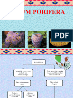 2 Filum Porifera