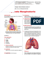 PDF Aparato Respiratorio para Quinto de Primaria - Compress