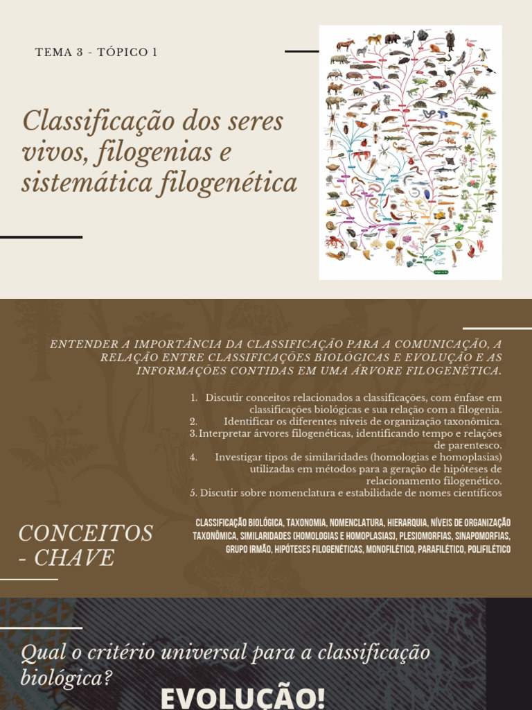 Tema 3 - Tópico 1 - Classificação Dos Seres Vivos, Filogenias e ...