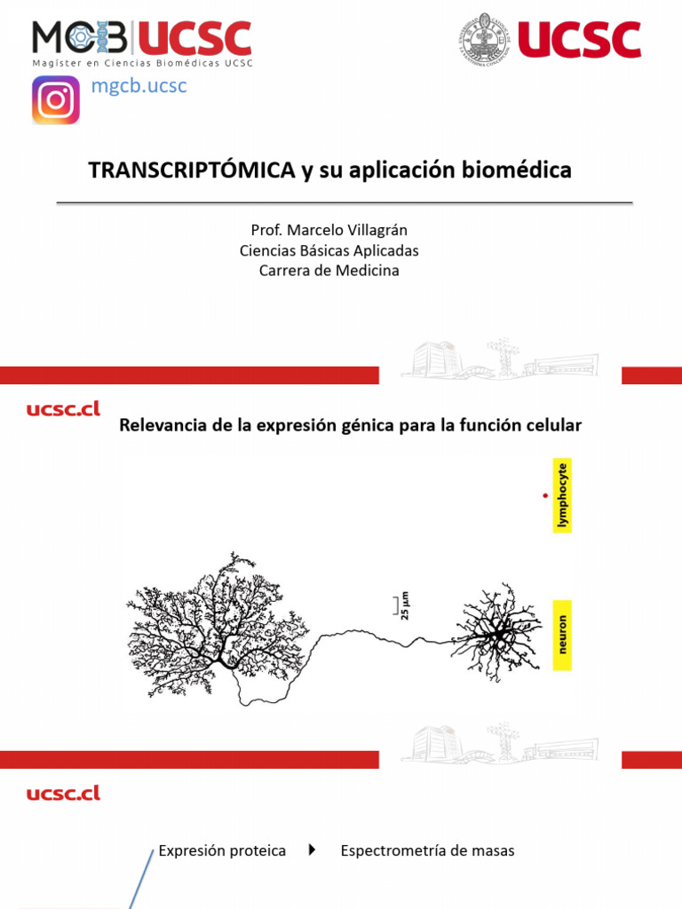 8 Transcriptomica y Obesidad | PDF | Secuencia ADN | Adn
