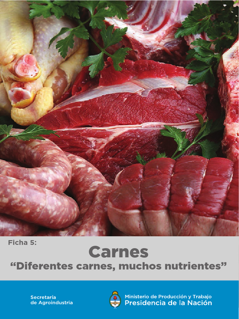 Carnes | PDF | Carne | Alimentos