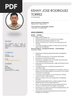 World Bank CV Format Template | PDF | Project Management