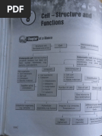 Ch8 Class 8 Science Worksheet With Solutions Super Duper Notes PDF