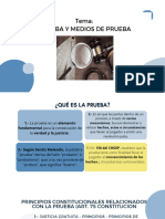 Presentación Proyecto Trabajo Prueba y Medios de Prueba