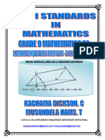 High Standards in Maths g9 p2.PDF