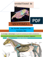 Semana 5 Asignatura de Anatomía I