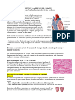 Cardiologia - Fisiologia de Guyton