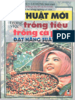 Kỹ Thuật Mới Trong Việc Trồng Tiêu, Trồng Cà Phê Đạt Năng Suất Cao