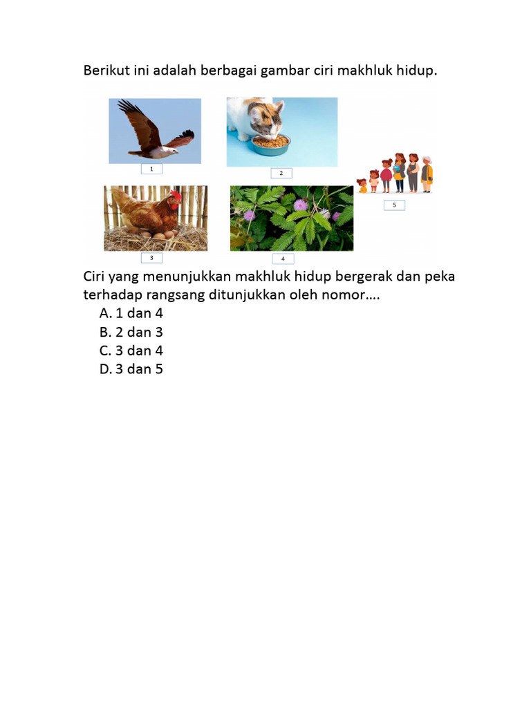 Berikut ini adalah berbagai gambar ciri makhluk hidup | PDF