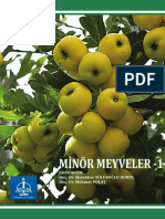 Minor Meyveler 1