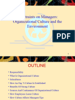 Organizational Culture and Environment