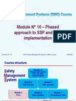 ICAO SMS M 10 - Approach (R013) 09 (E)