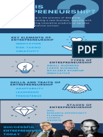 What is Entrepreneurship Infographic