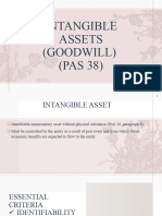 INTANGIBLE-ASSETS-GOODWILL