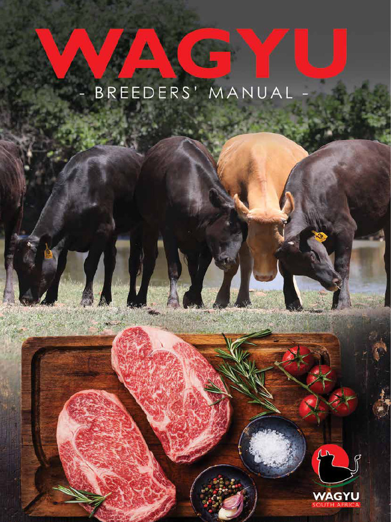 Wagyu Cattle Breeding Manual South Africa | PDF | Fat | Cattle