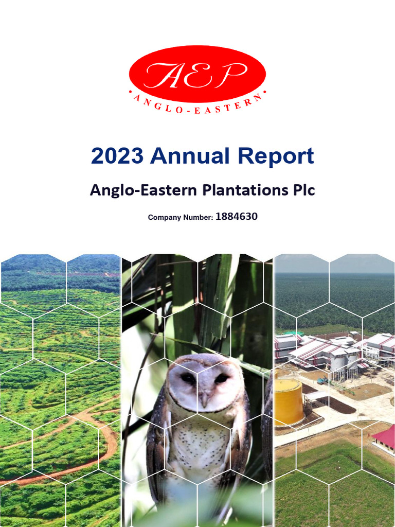 AEP PLC Annual Report 2023 | PDF | Dividend | Share Repurchase