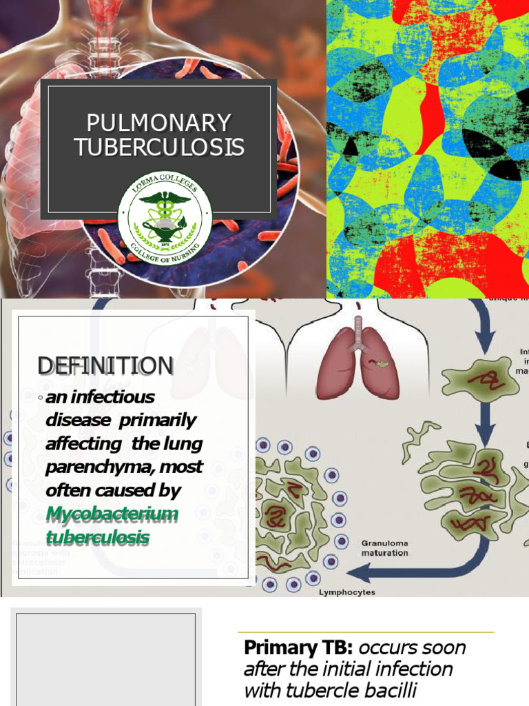 12 Tuberculosis Pdf Tuberculosis Microbiology