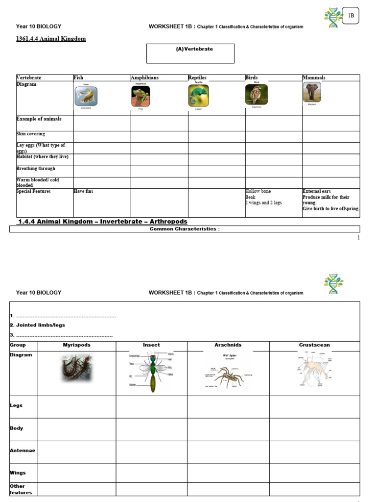 Animal Kingdom Classification Worksheet | PDF