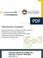 Aula 7 - Mitocondrias e Cloroplastos