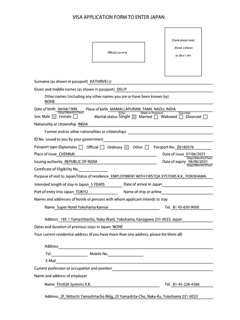 Sample Japan Visa Form | PDF
