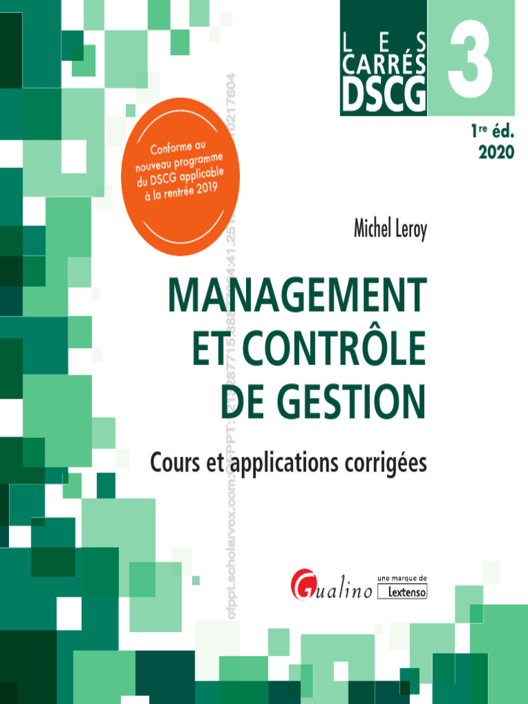 Management et Contrôle de Gestion DSCG 3 | PDF | Gestion stratégique ...