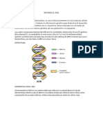 Informe El Adn