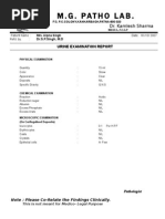 Urine Eaxmintaion Report