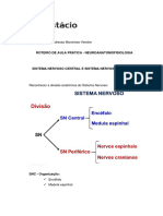 Roteiro de Aula Prática Do Sistema Nervoso