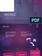 Bienes Civiles Milena-1