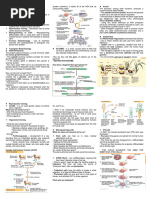 Agric 3120 - Basic Biotechnology