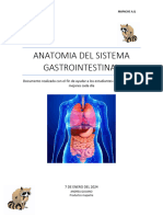 Sistema Gastro Intestinal